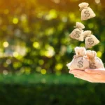 Especialista explica a importância do microcrédito para pequenos negócios e orienta empreendedores como contratá-la